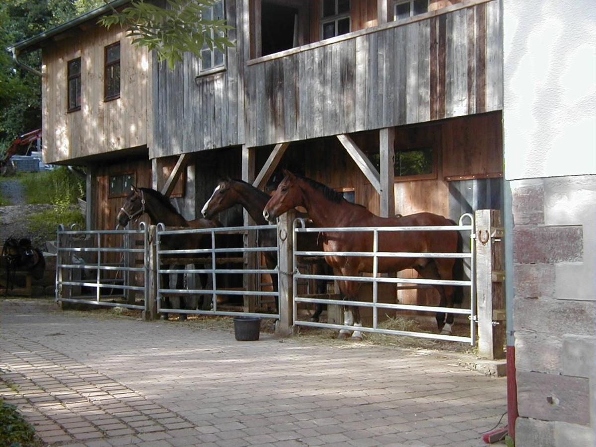 Ferienwohnung In Den Dorfwiesen Gersfeld Eksteriør bilde